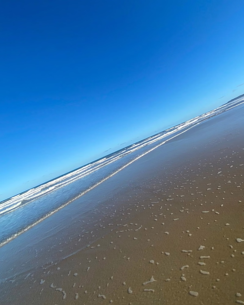 Beach under a clear blue sky